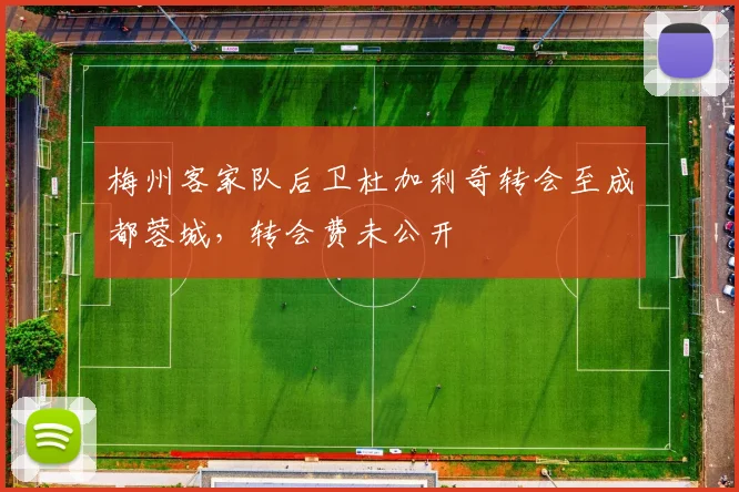 梅州客家队后卫杜加利奇转会至成都蓉城，转会费未公开