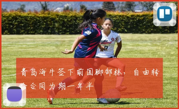 青岛海牛签下前国脚郜林，自由转会合同为期一年半